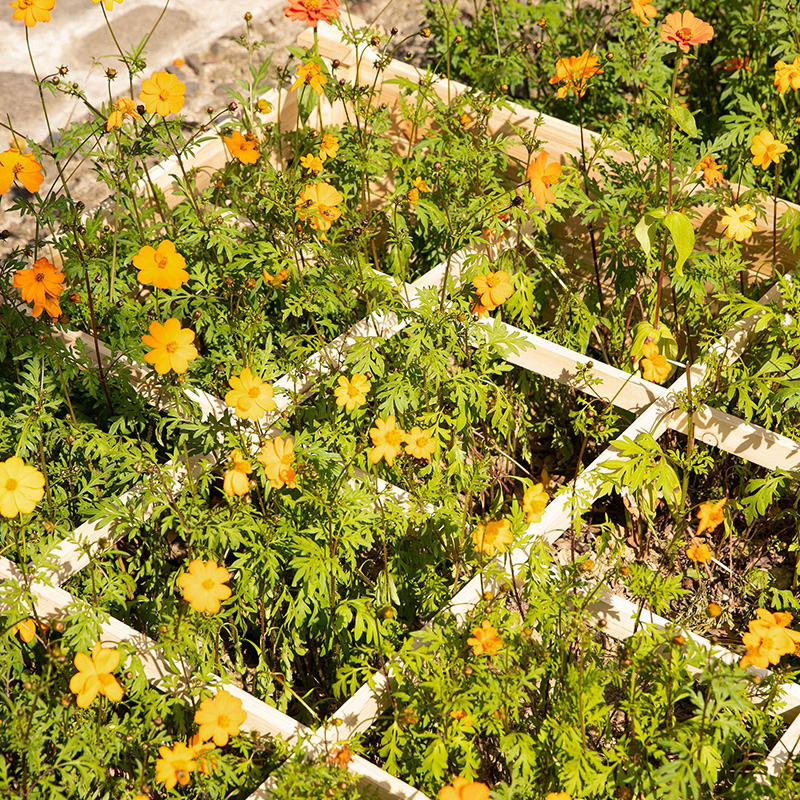 Cutie de pat de grădină înălțată de 3,9 ft x 3,9 ft cu grilă de creștere segmentată, material lemnos pentru plante și ierburi din curte